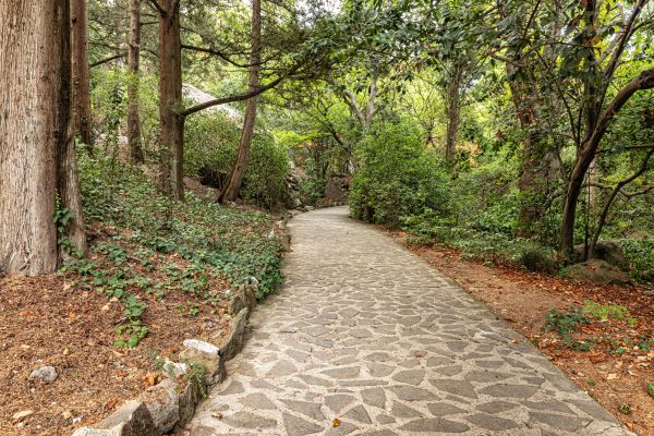 Stone Walkway Repair in Tarpon Springs