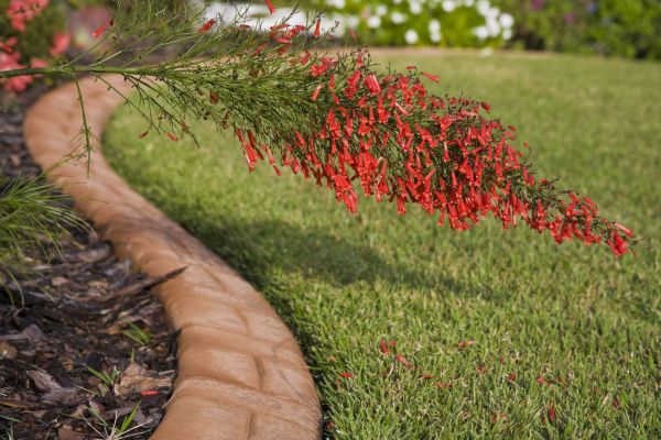 Brick Edging in Tarpon Springs