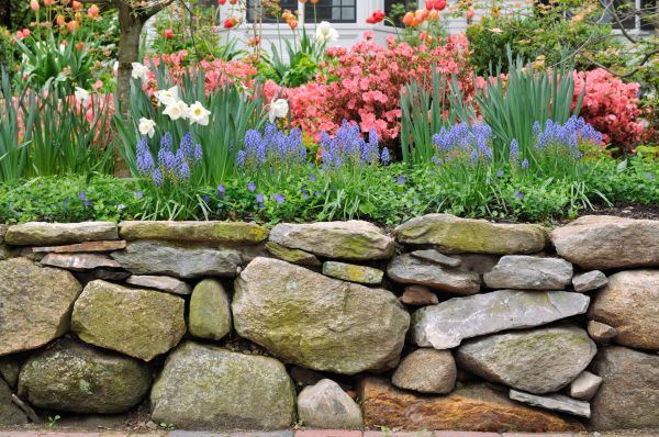Stone Wall Hardscaping in Tarpon Springs