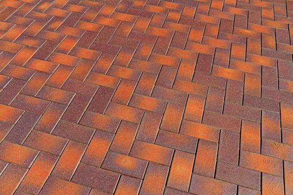 Brick Hardscape Installation in Tarpon Springs