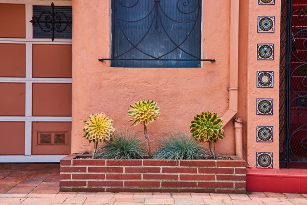 Brick Planter Installation in Tarpon Springs